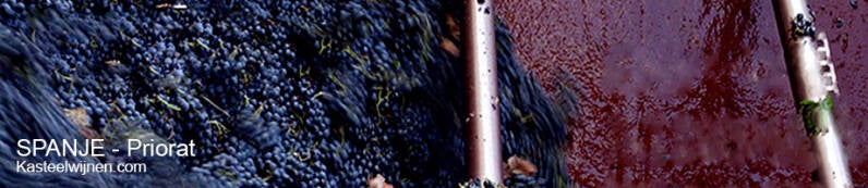 Spanje, Priorat, Kasteelwijnen.com