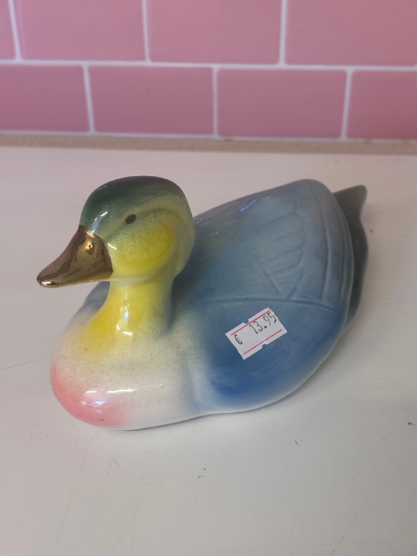 Vintage gekleurde eend