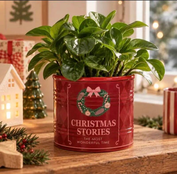 Christmas stories bloempot