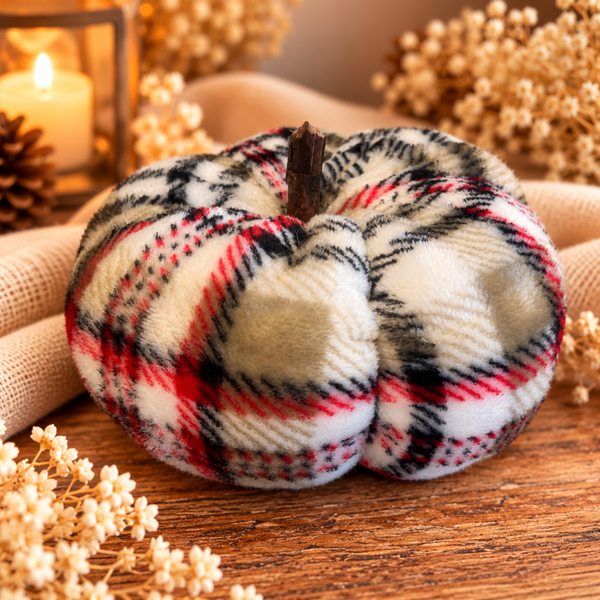 Citrouille tartan moyenne