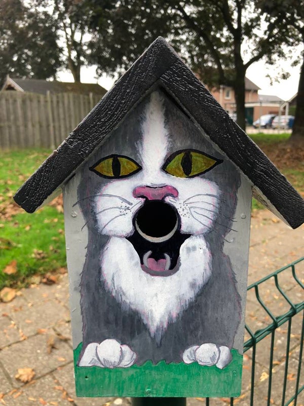 Vogelhuisje met poes