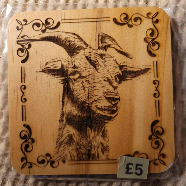 Laser engraved coaster