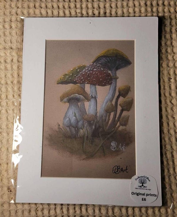 Original print