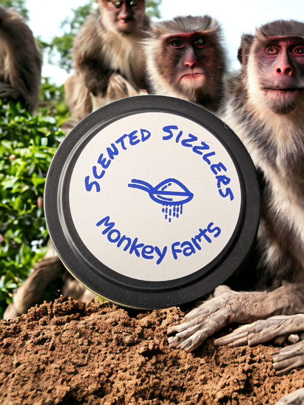 100g MISCELLANEOUS SCENTED SIZZLERS