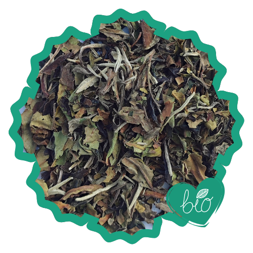 Thé blanc Bai Mu Dan
