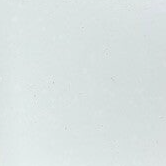 Neuflex - White 816 / White