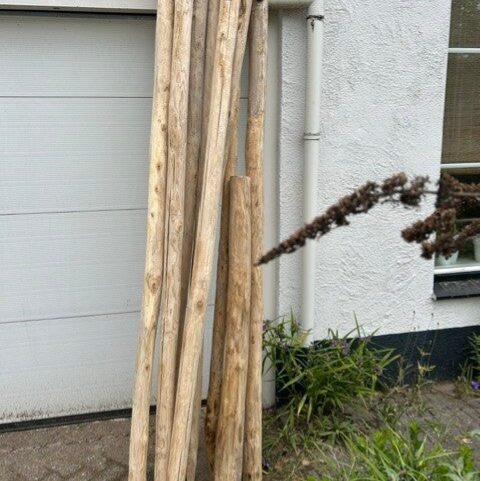 Kastanje paal 8/10 lengte 300 cm standaard