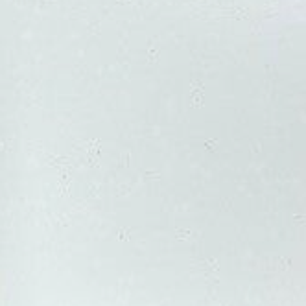 Neuflex - White 816 / White