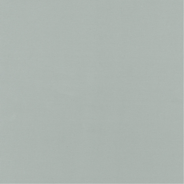 Swela Seasilk 35762 - Silver Grey