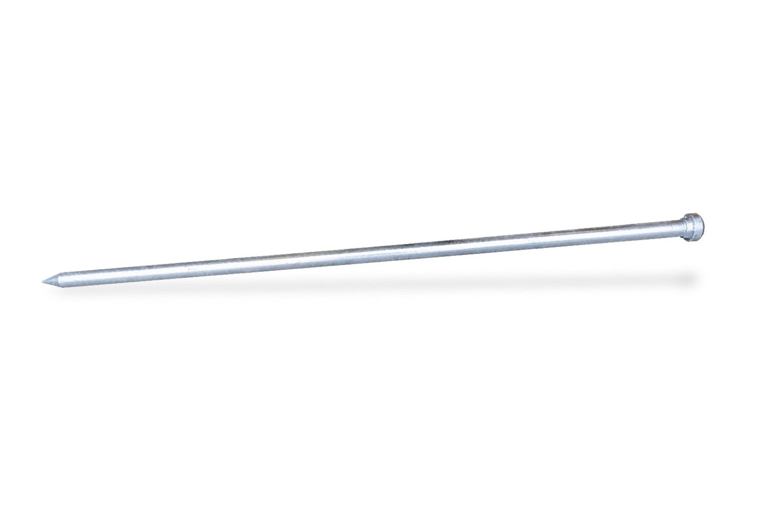Lange ronde haring 100 cm met bolkop