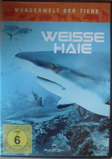 Weisse Haie