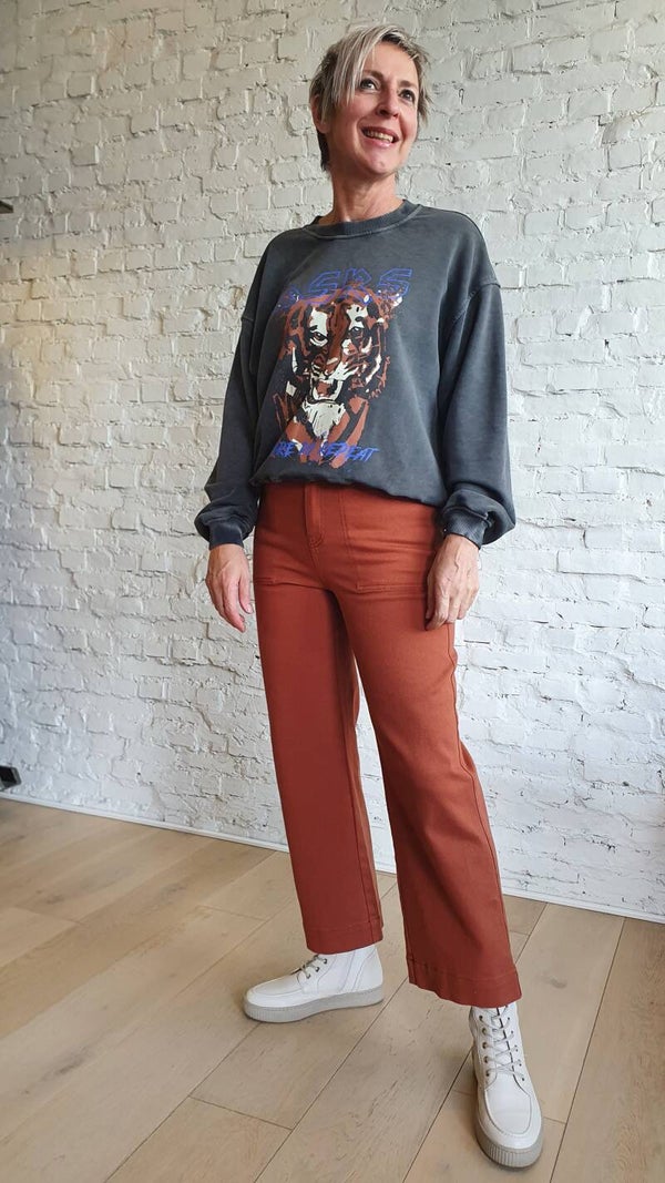 stoere sweater met tijger