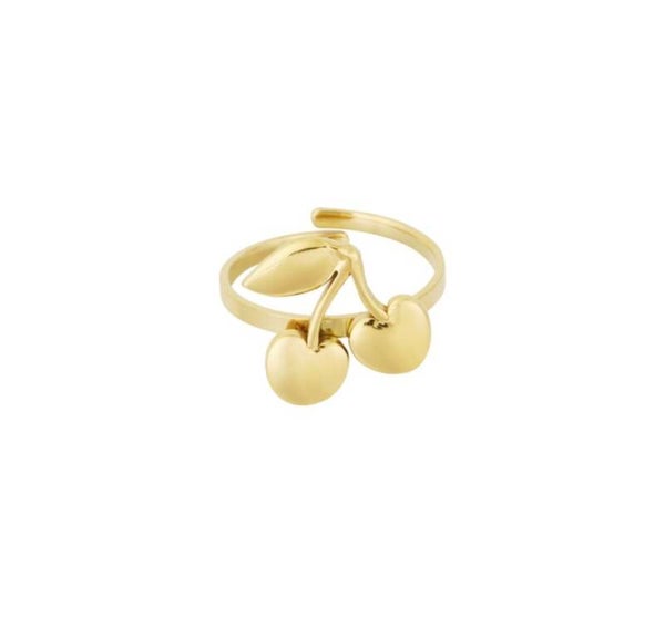 Ring ✰ kers goud
