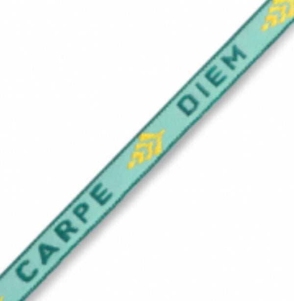 Lint carpe diem