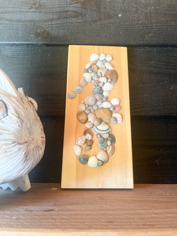 Handmade schelpen zeepaard