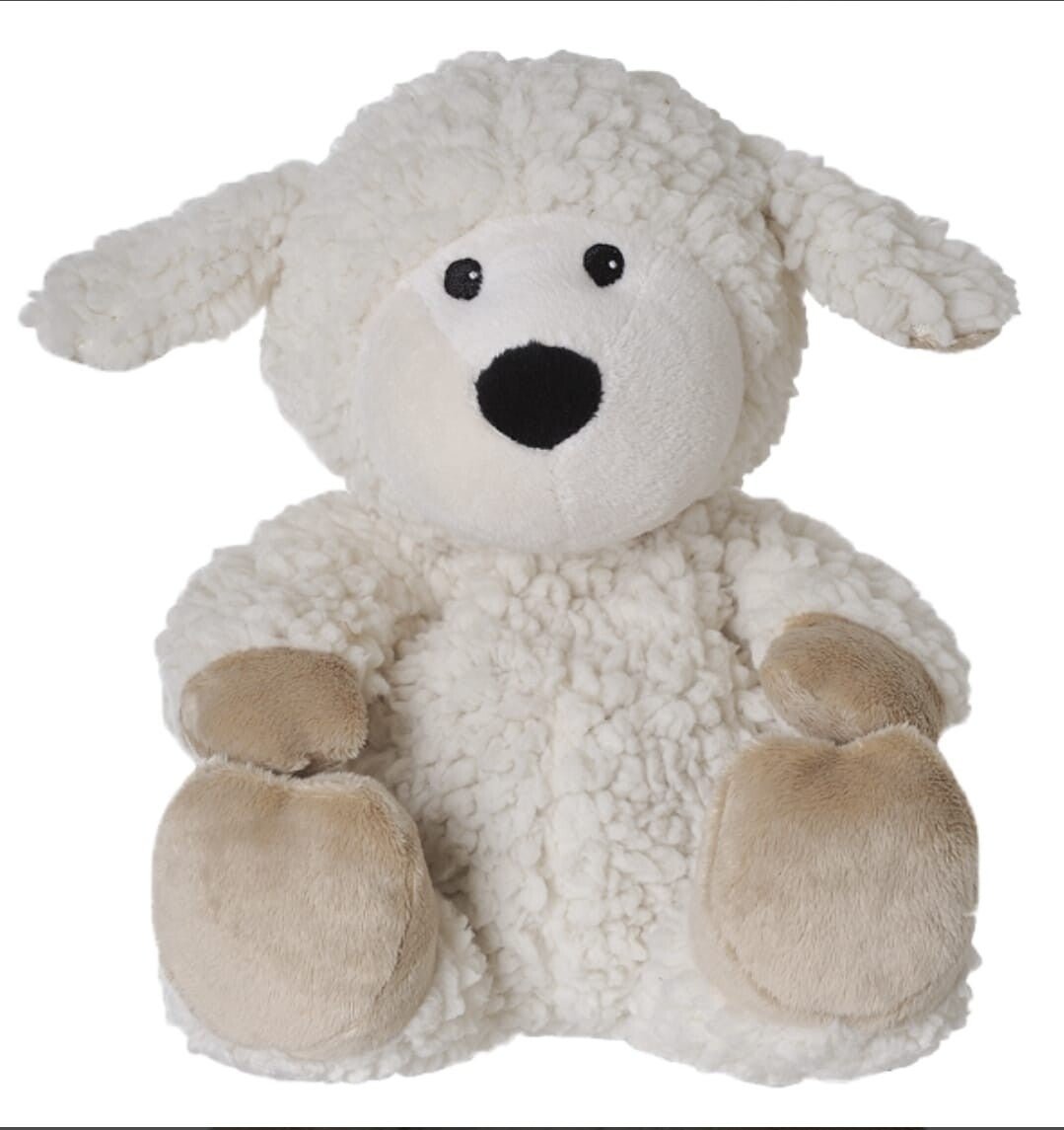 Schaap