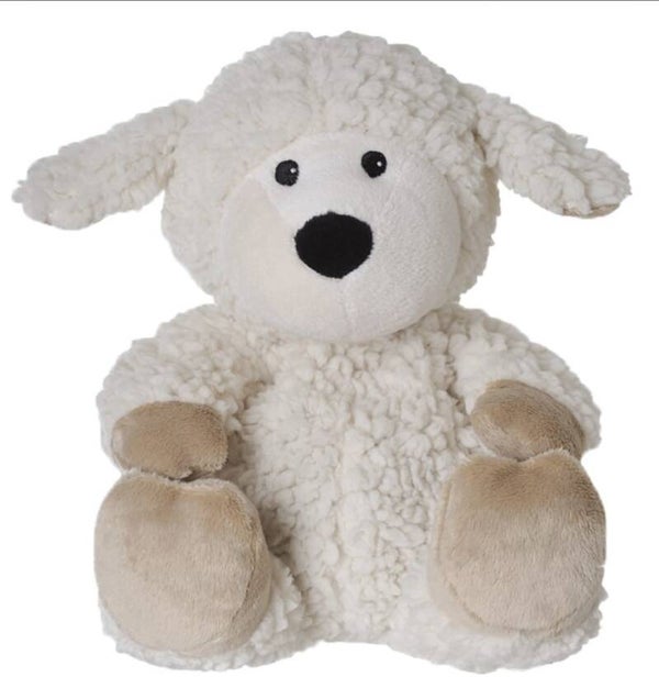 Schaap