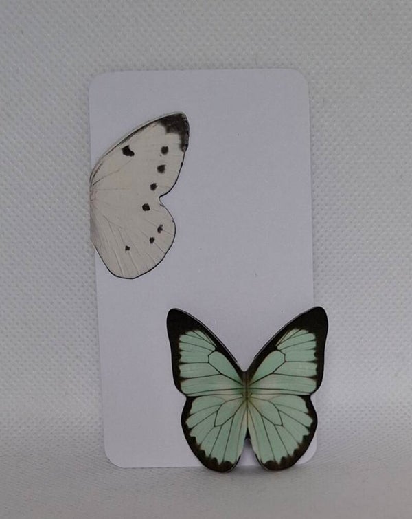 2 magnetische boekenleggers