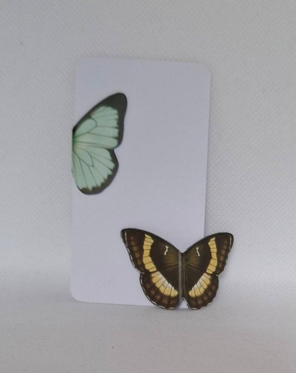 2 magnetische boekenleggers vlinder