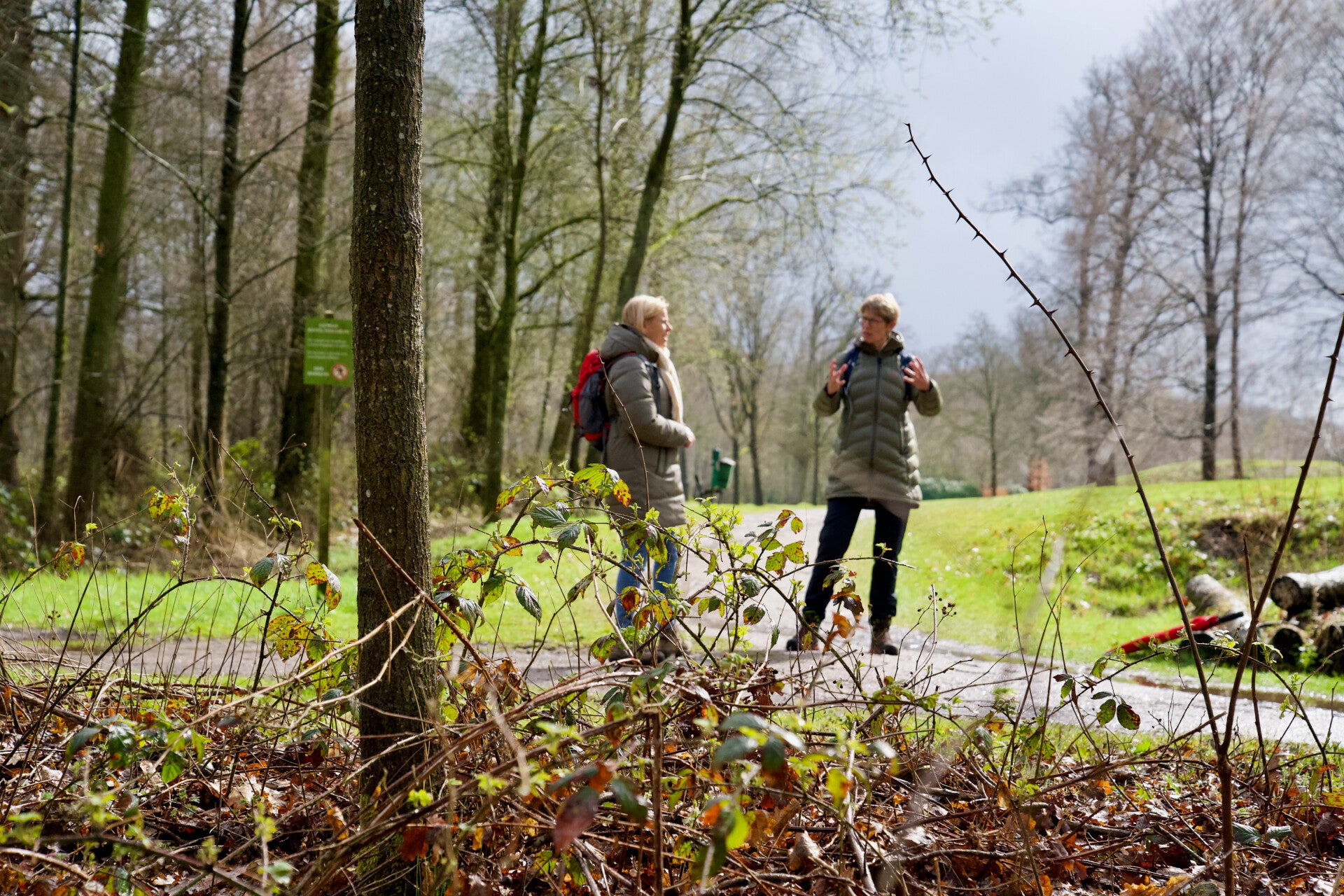 Kirsten Koorevaar wandelt met een coachee