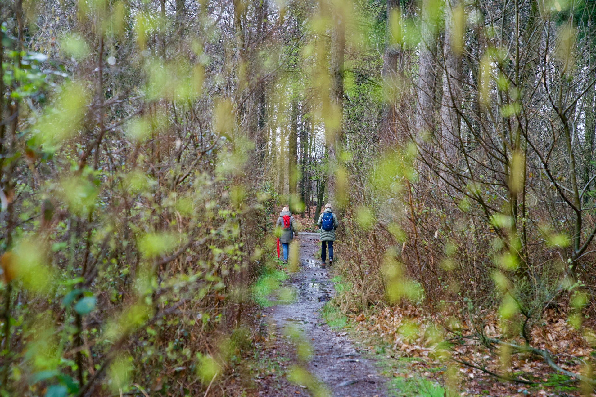 Kirsten en coachee op een bospad met takken met blaadjes op de voorgrond