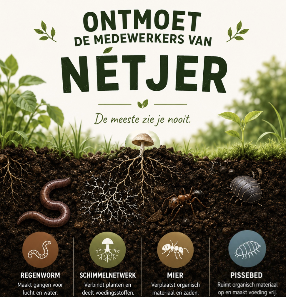 onze werknemers