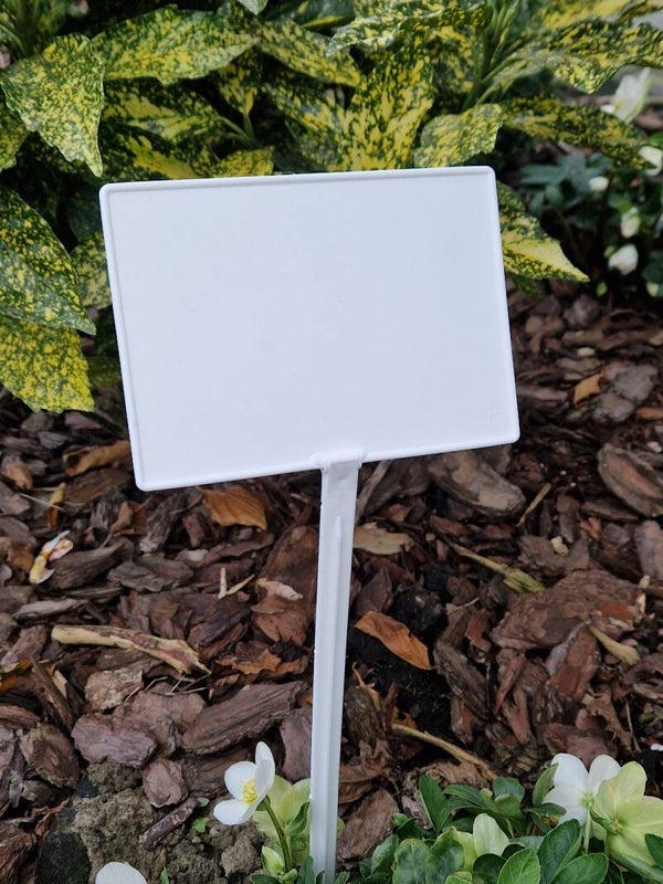 DUŻE TABLICZKI ETYKIETY DO OZNACZANIA ROŚLIN 15x10,5x50 cm 100SZT
