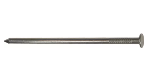 Nagel Flachkopf