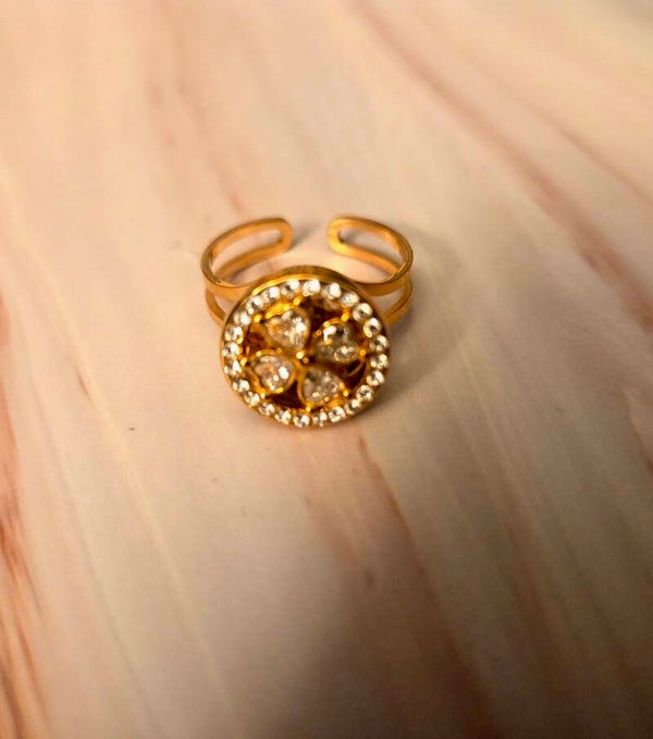 Draai ring- Verstelbaar--Stainlesssteel