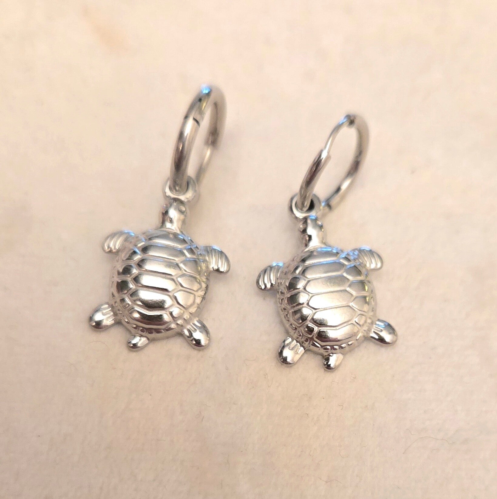 Oorbellen schilpad zilver