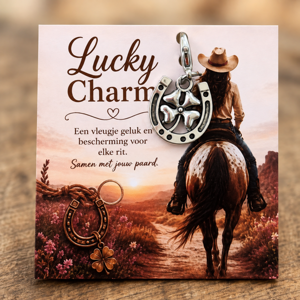 Lucky charm zilver
