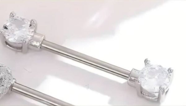 Tepelpiercing Roestvrij Staal – Veilige & Stijlvolle Piercing voor Vrouwen leni