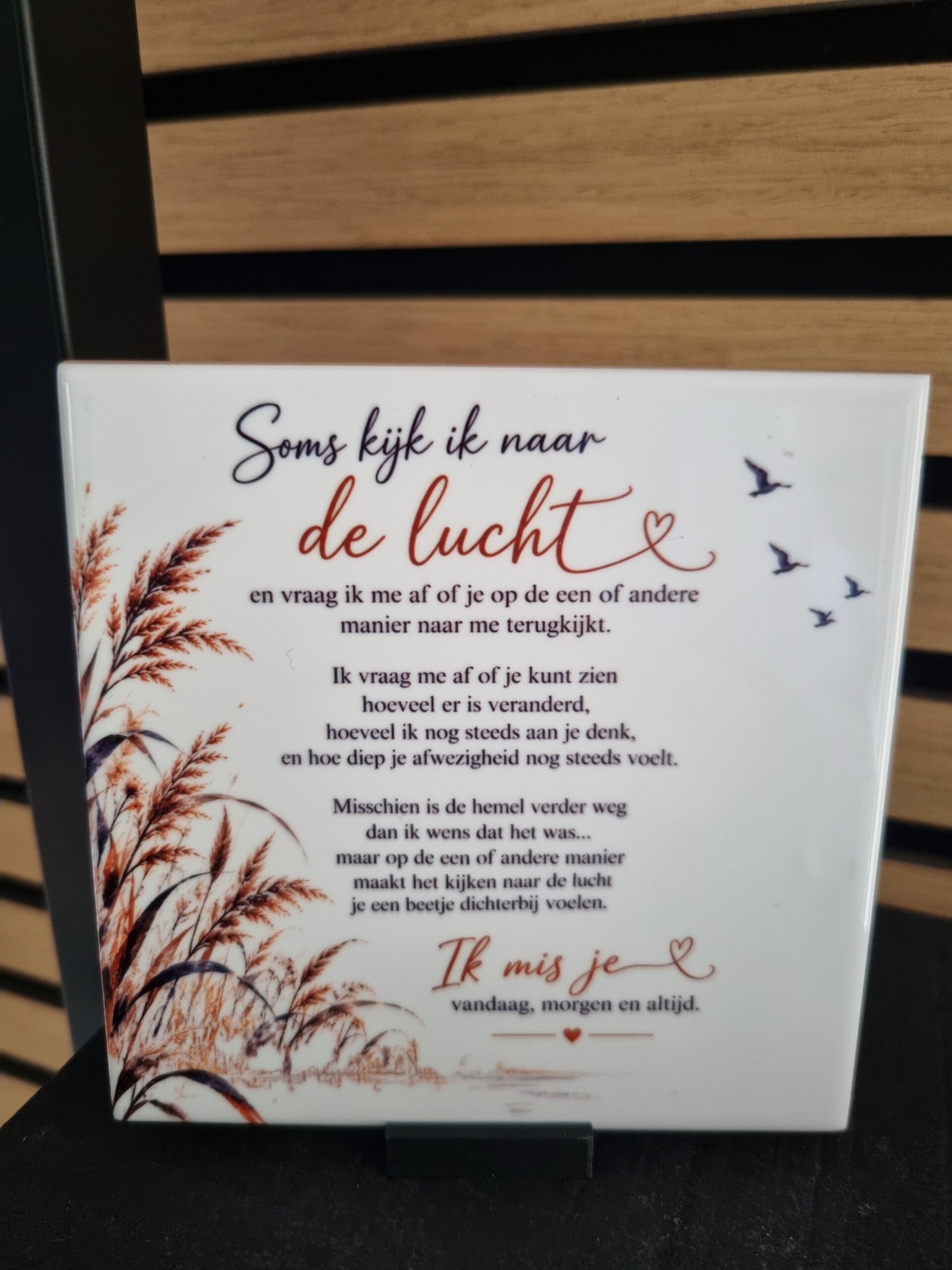 Soms kijk ik naar de lucht herinneringstegel