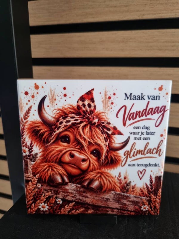 Maak van vandaag een dag waar je later met een glimlach aan terugdenkt.
