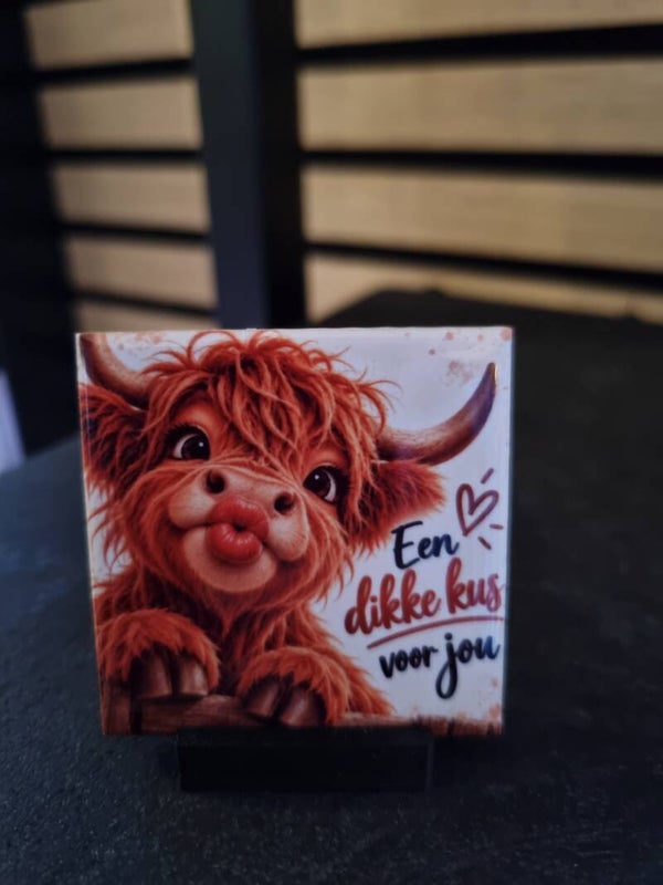 Een dikke kus voor jou • Schotse Hooglander