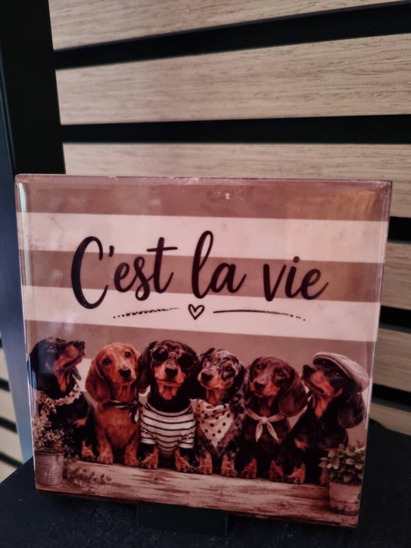 C’est la vie”