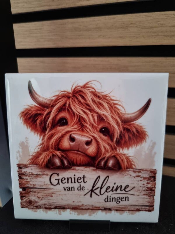 Geniet van de kleine dingen