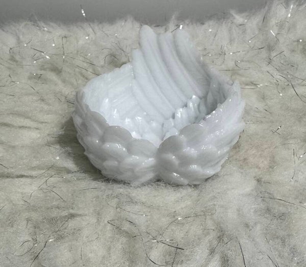 Wing storage container
