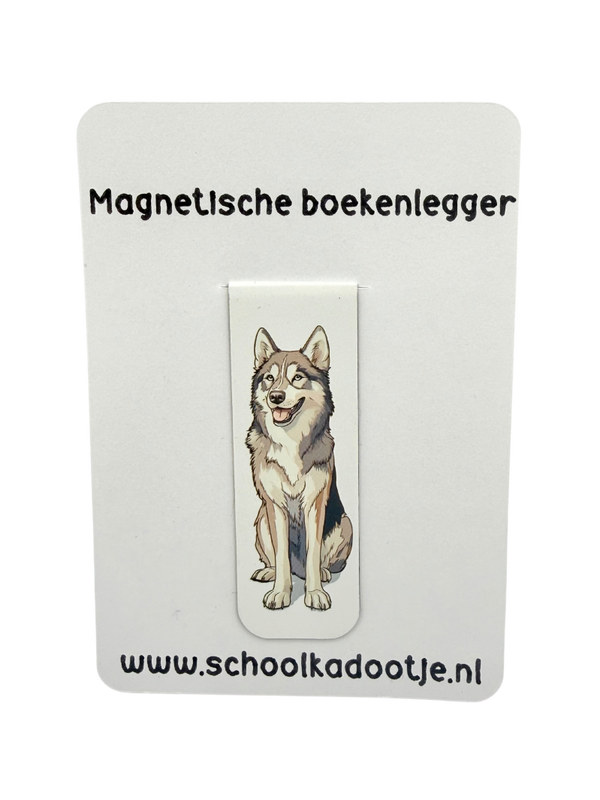 Magnetische boekenlegger | 261626