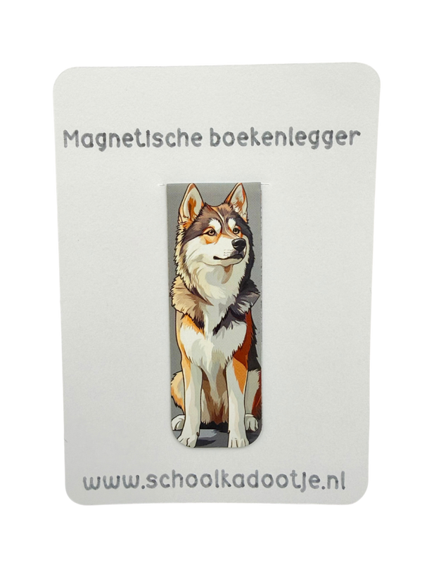 Magnetische boekenlegger | 261639