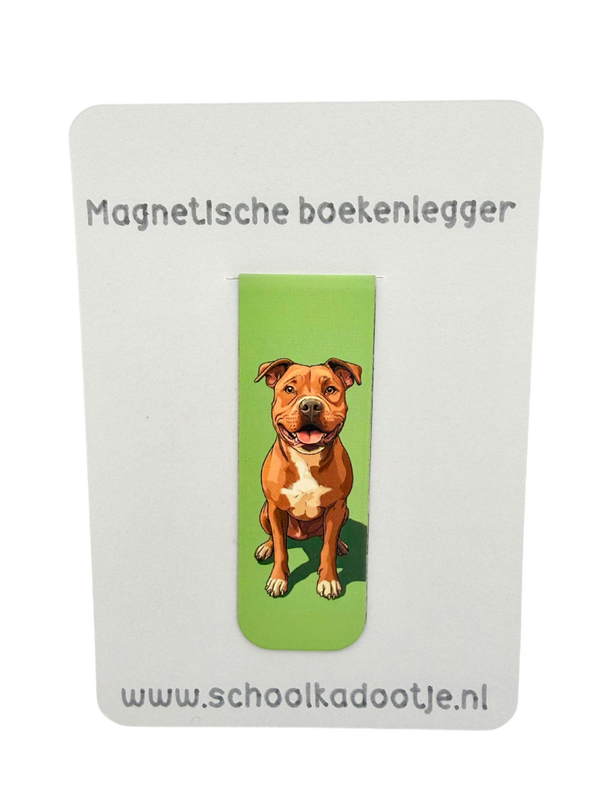 Magnetische boekenlegger | 261641