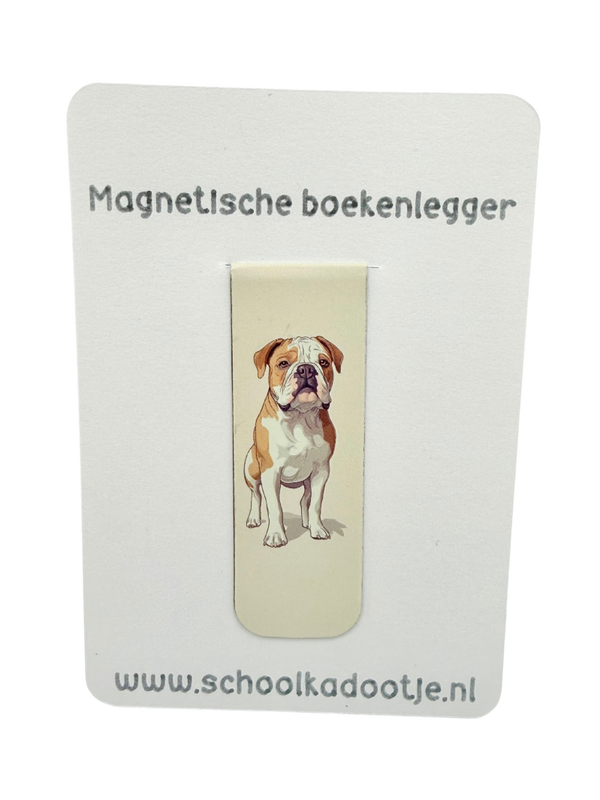 Magnetische boekenlegger | 261649