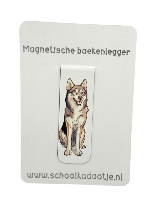 Magnetische boekenlegger | 261650