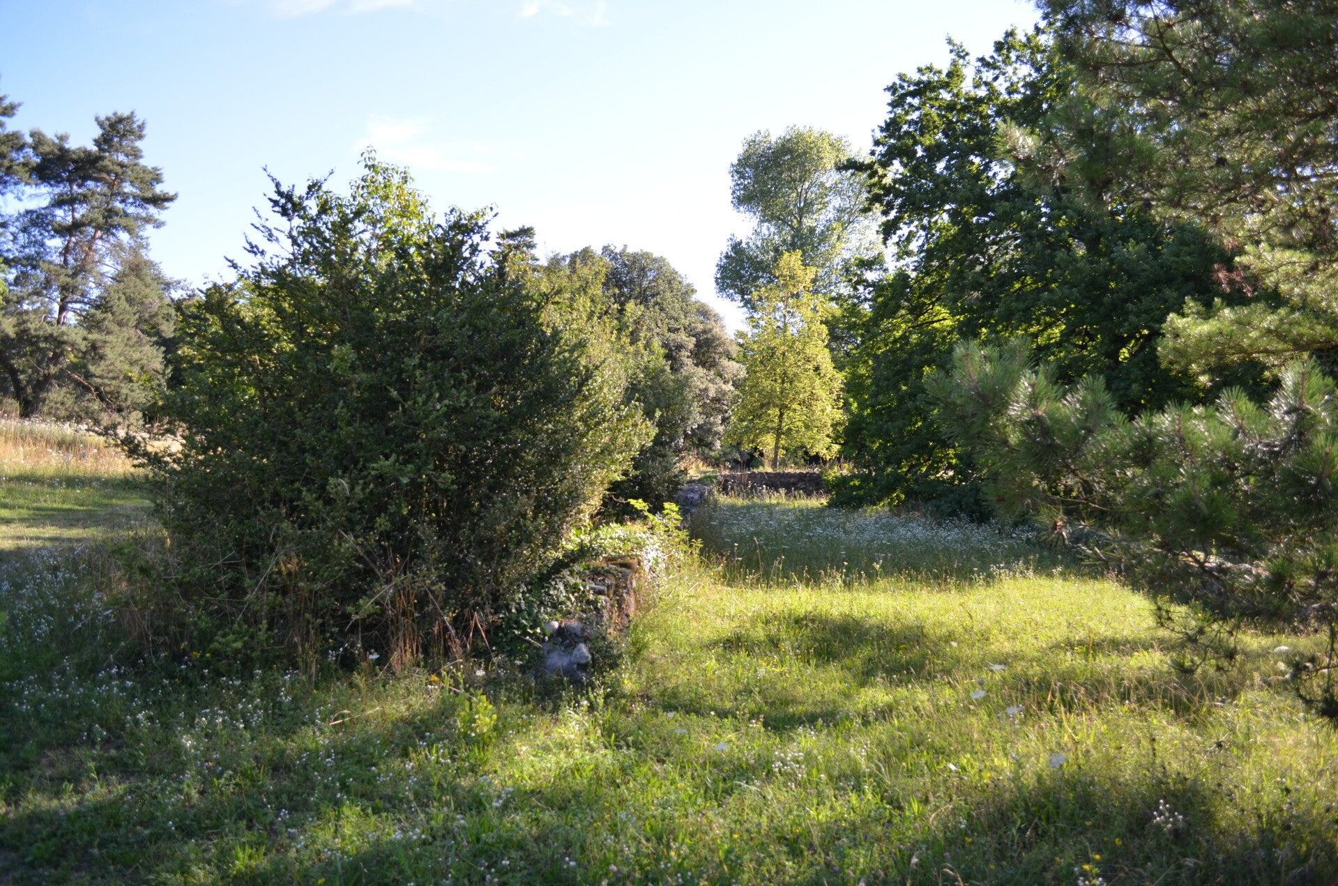 Ruines romaines de Vidy