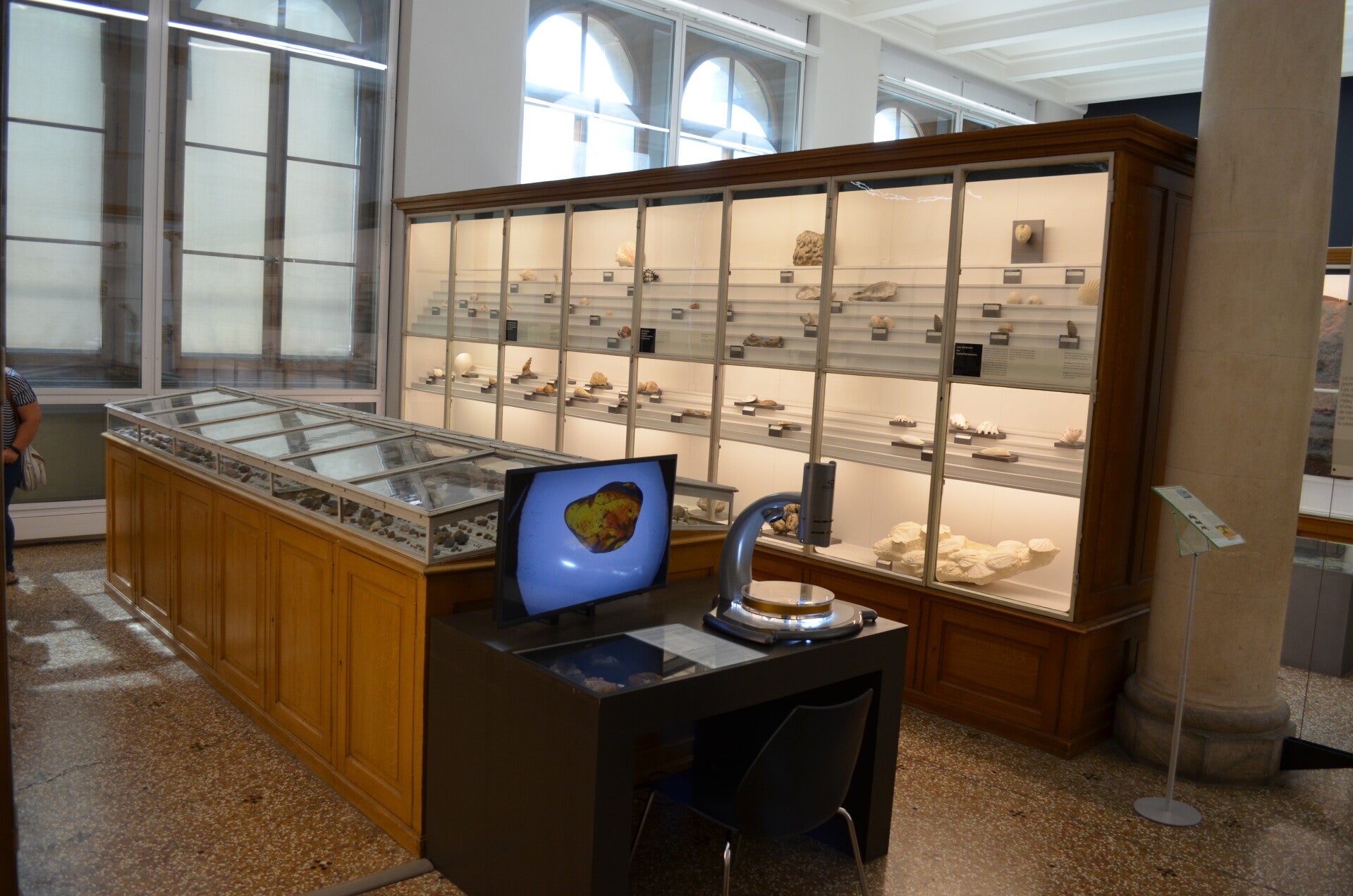 Musée de paléontologie de Lausanne