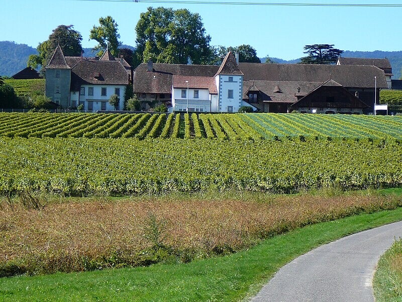 Château de Duillier