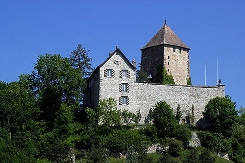 Château de Herblingen