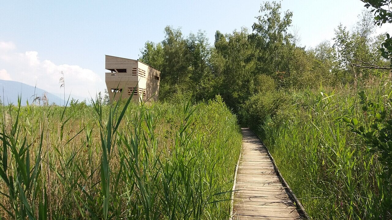 Marais naturel traversé par une passerelle