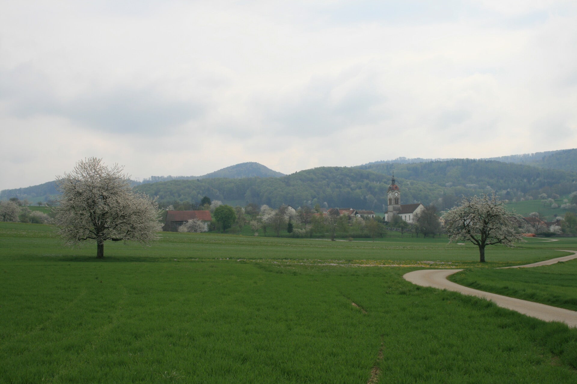 Commune de La Baroche