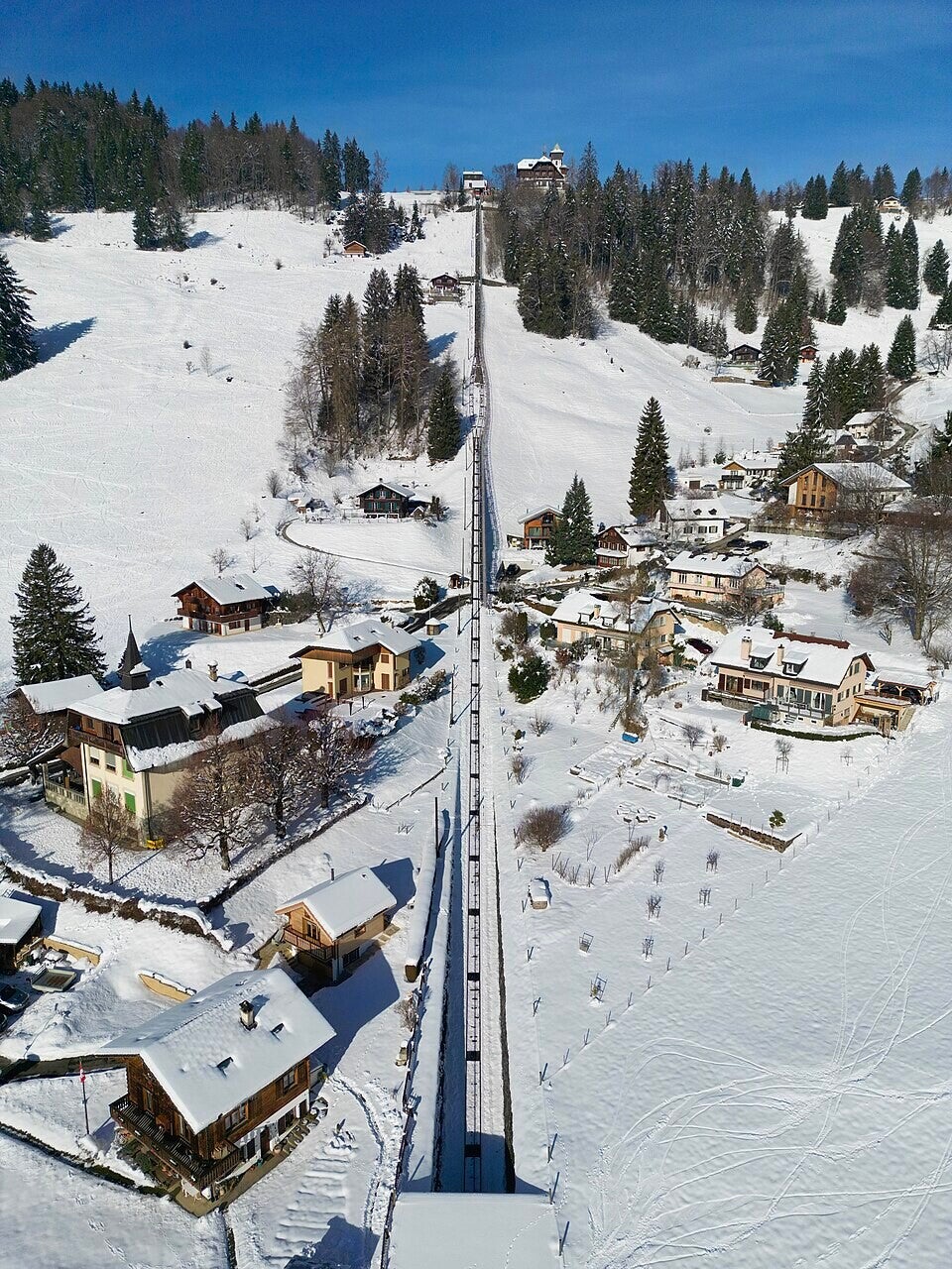 Prairie fleurie dans les Préalpes vaudoises